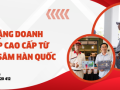 Quà tặng doanh nghiệp cao cấp từ hồng sâm Hàn Quốc