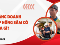 Quà tặng doanh nghiệp hồng sâm có ý nghĩa gì?