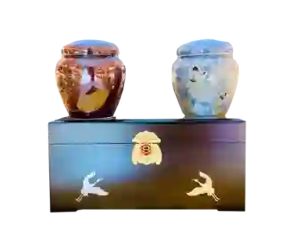 Cao hồng sâm Song Hỷ 2 hũ x 500g