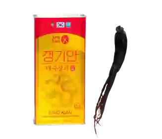 Thiên sâm tẩm mật ong Jung Kian cao cấp – 300g (6 củ)